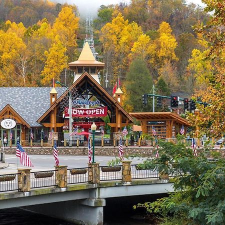 Cabin Of Dreams, 3 Bedroom Water View, Wifi, Hot Tub, Pool Table, Sleep 8 Sevierville Exteriér fotografie